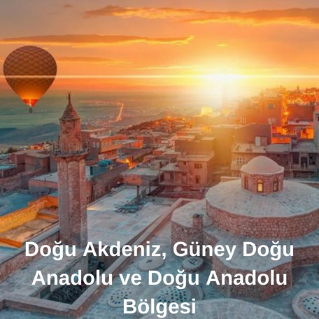 Yöntar Toh. Güb. Zir. İlaç ve Tar. Alet Paz. San. Tic. Ltd. Şti.