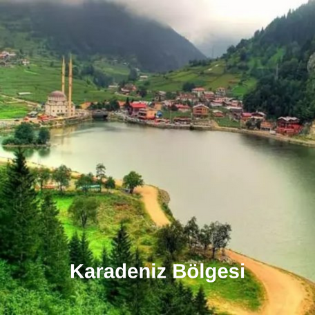 OR-SAM Tarım ve Zirai Ürün Paz. ve Dan. Tic. A.Ş.