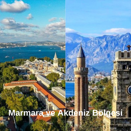 Tofida Tarım İnşaat Tur. Hayv. Tic. San. Ltd. Şti.